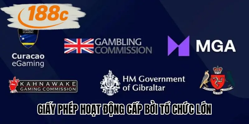 Giấy phép hoạt động cấp bởi tổ chức lớn