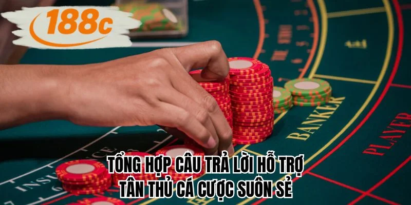 Tổng hợp câu trả lời hỗ trợ tân thủ cá cược suôn sẻ